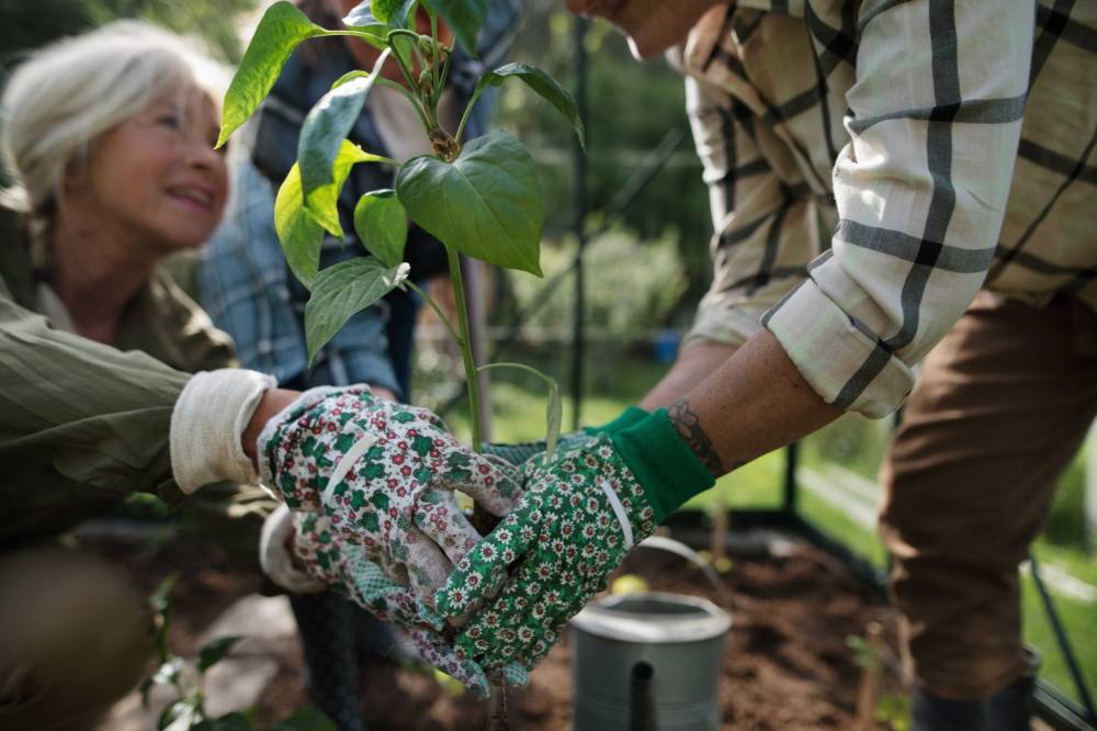 A Community of Plant Lovers