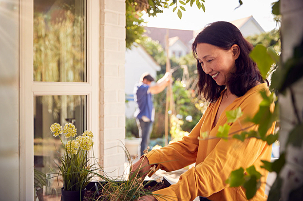 How can plants boost your mood?