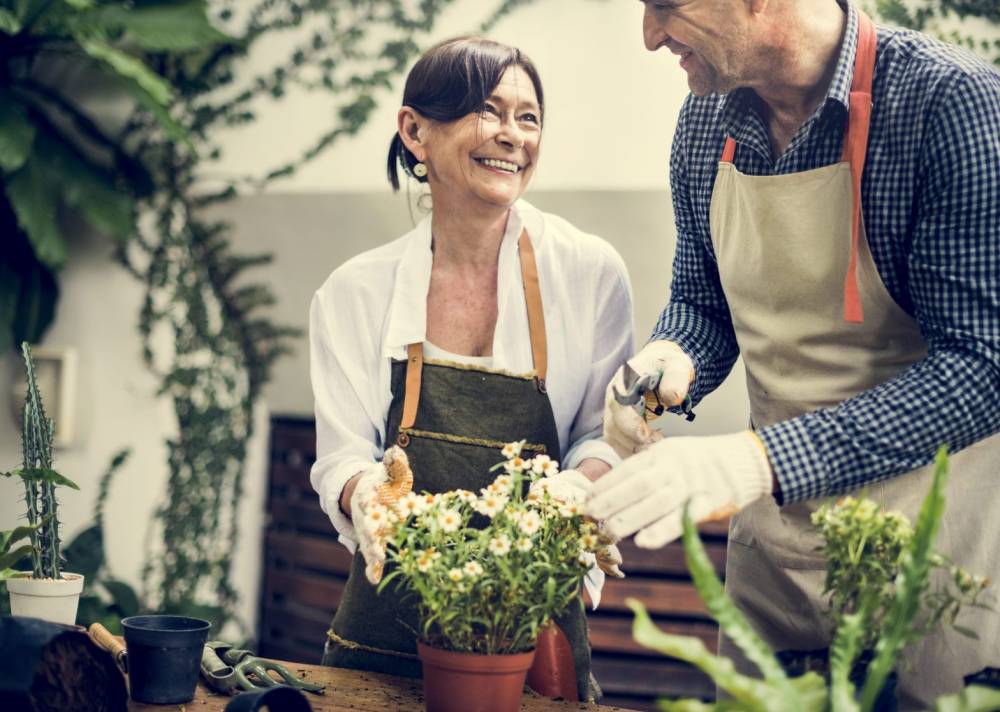 Can Plants Really Help in Making You Healthier?